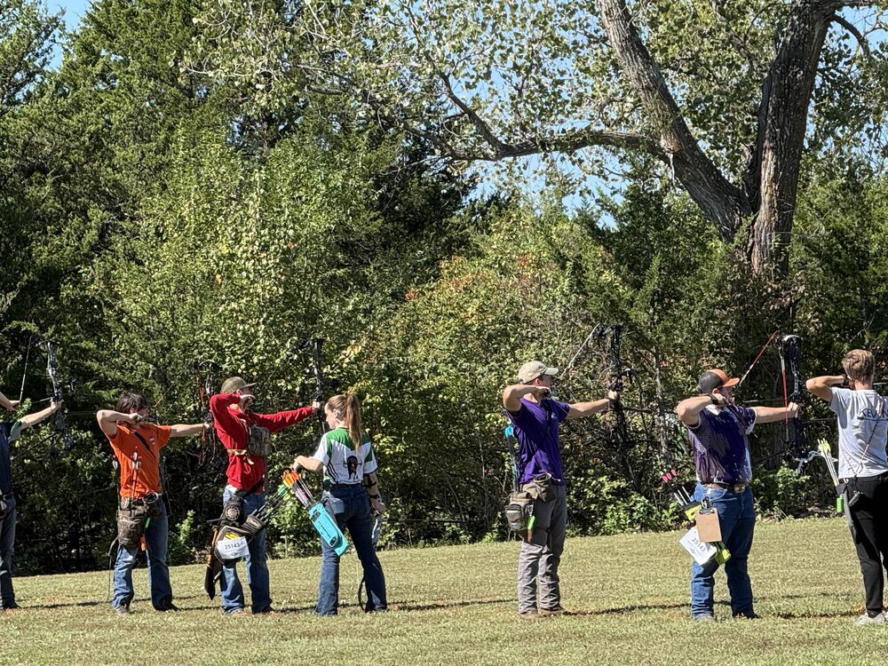 A long line of archers at full draw on a grassy field with large trees behind them